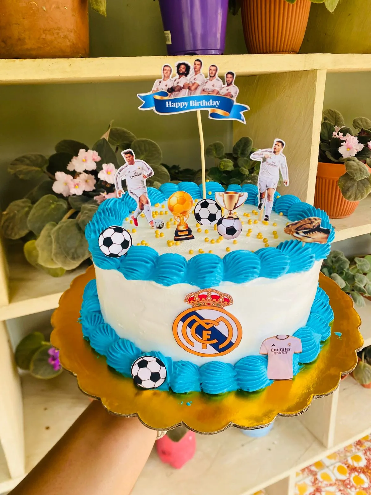 Pastel para sesión de fotos AM-000131