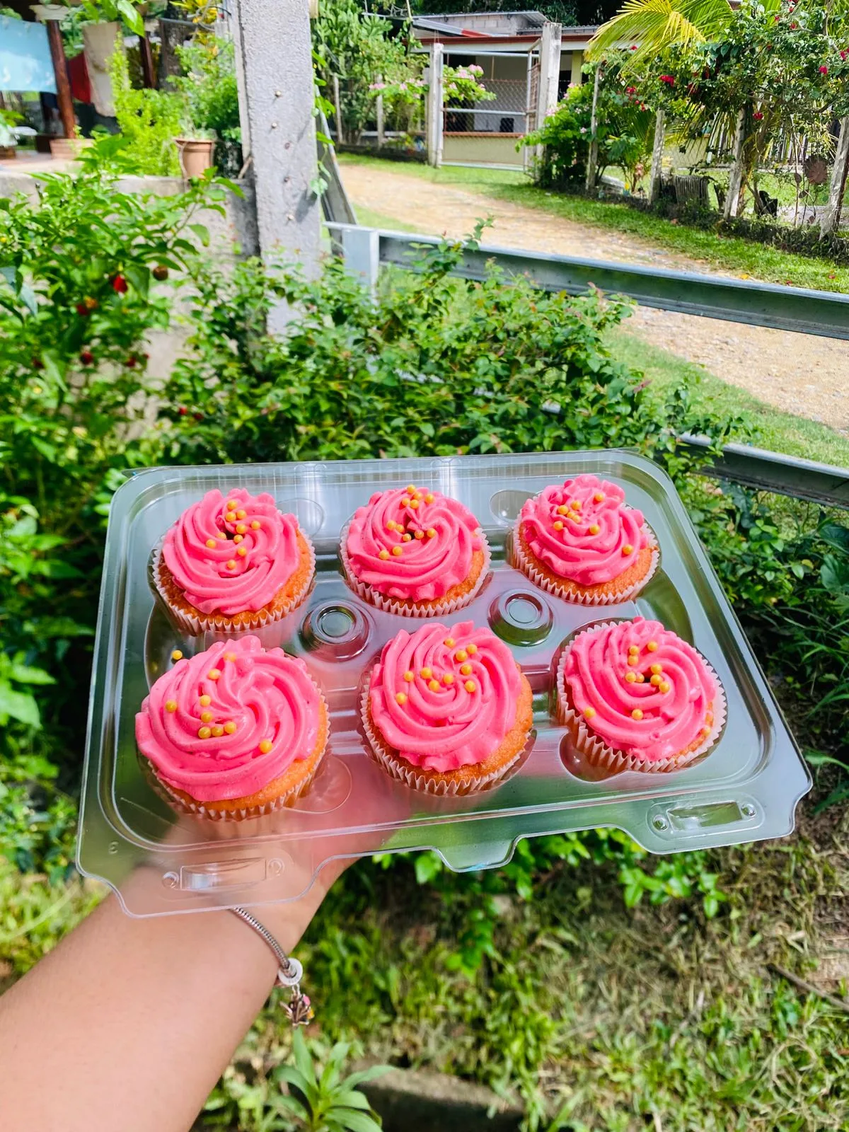 Cupcake AM-000173