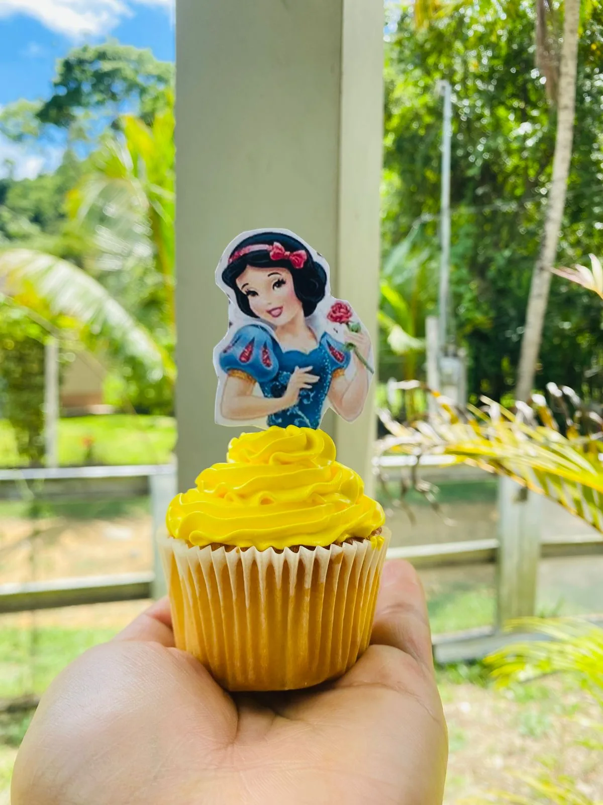 Cupcake AM-000171