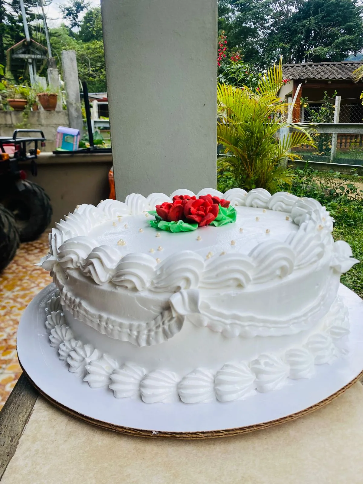 Pastel decorado AM-000045