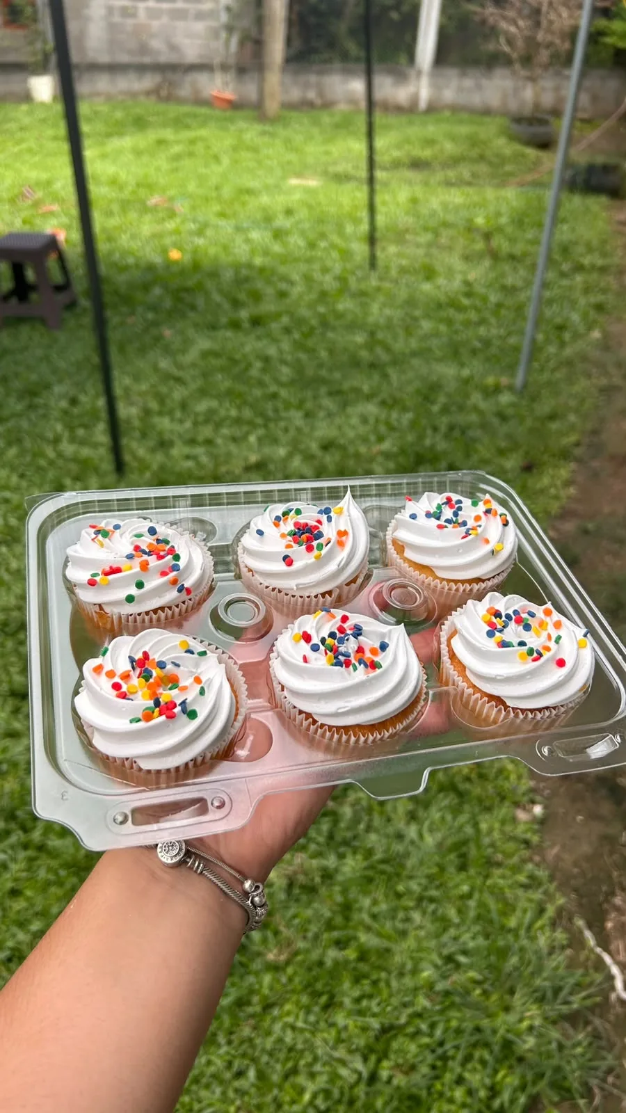 Cupcakes AM-000188