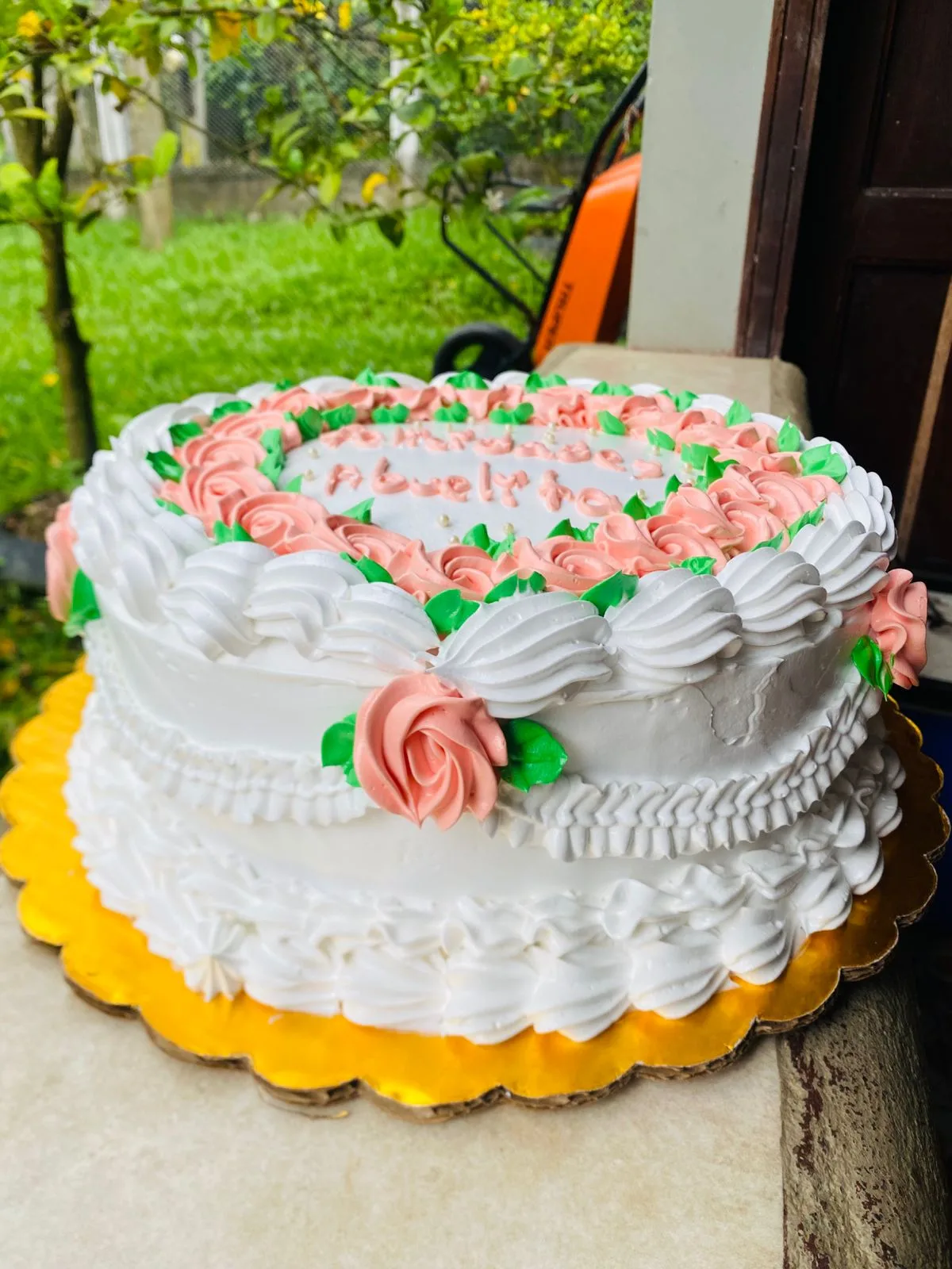 Pastel decorado AM-000028