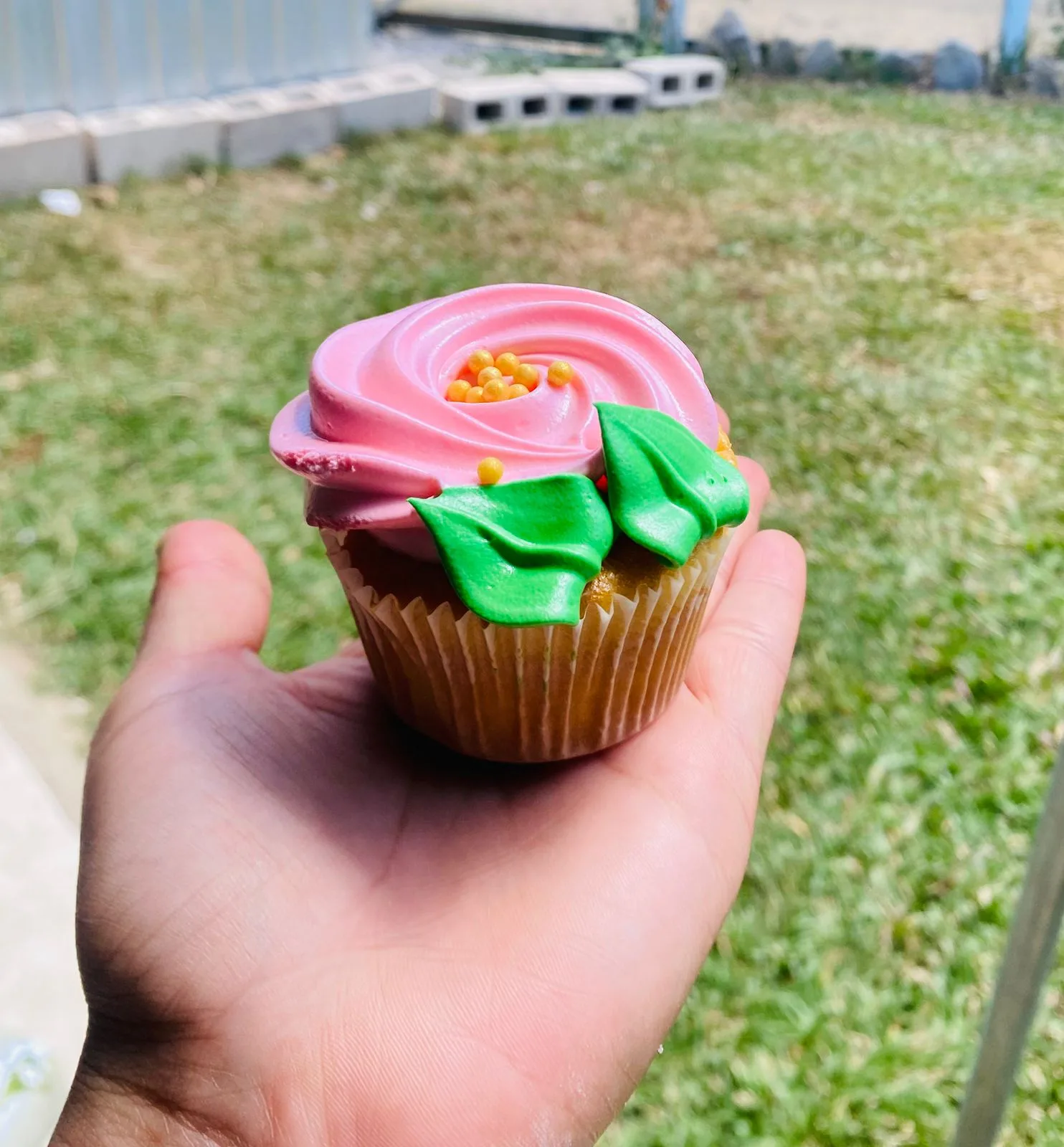 Cupcake AM-000170