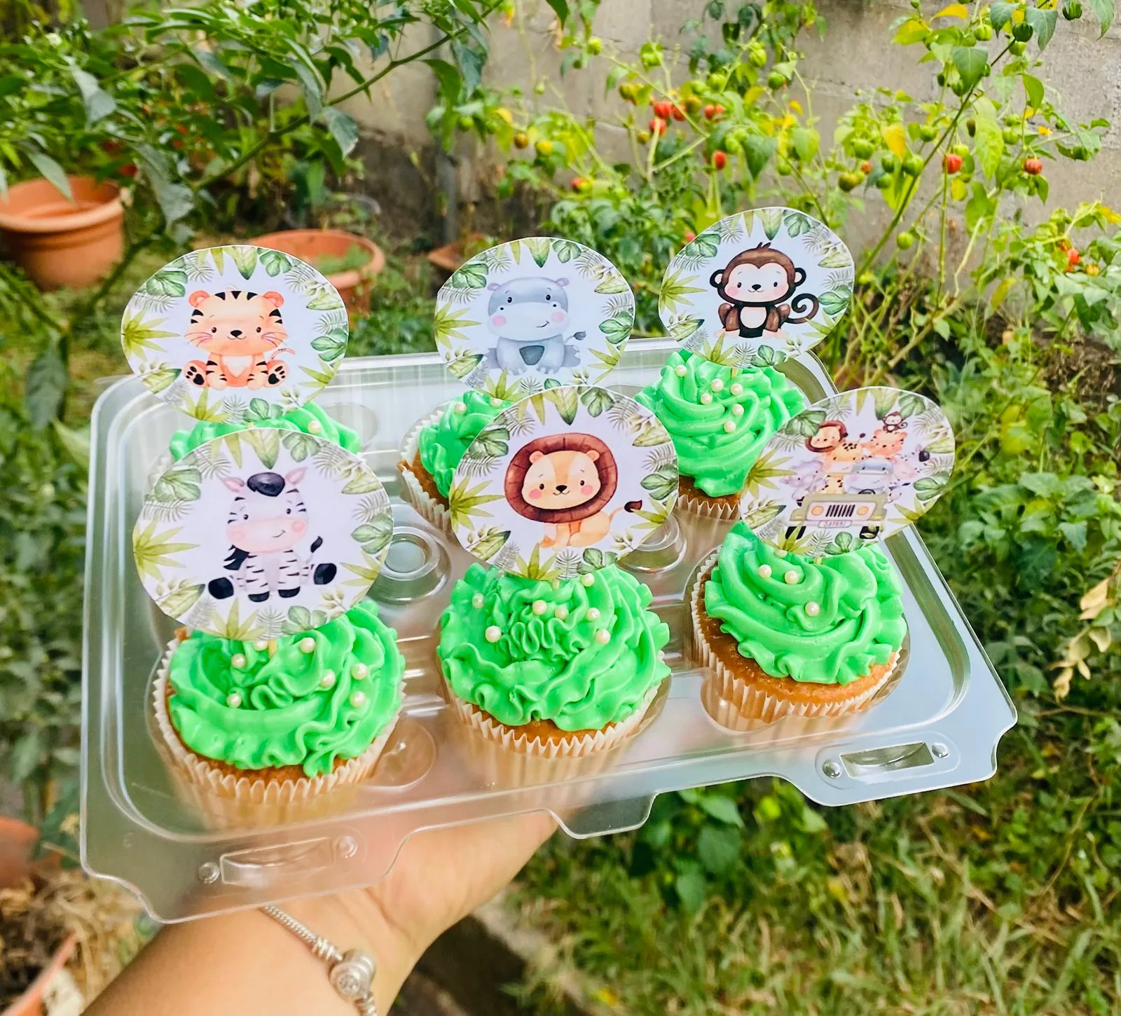 Cupcake AM-000172