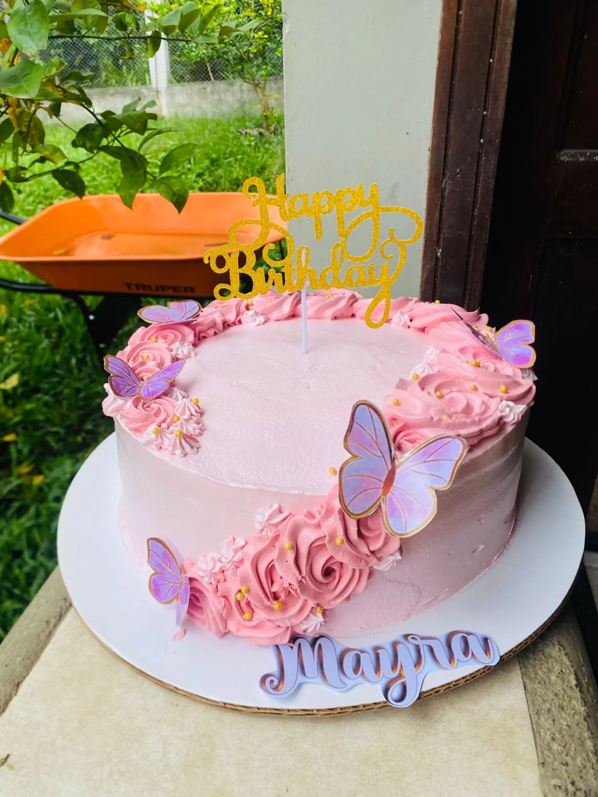 Pastel decorado AM-000044